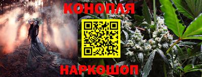 стаф Бузулук