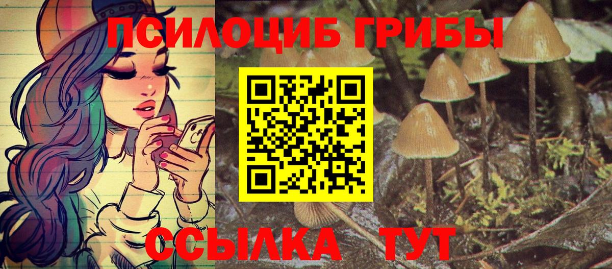 Галлюциногенные грибы мицелий Лобня