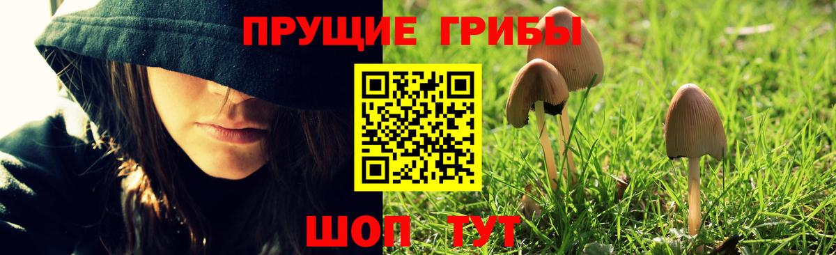 Галлюциногенные грибы Psilocybine cubensis  Псилоцибиновые грибы Psilocybine cubensis  Вход с VPN  Лобня 