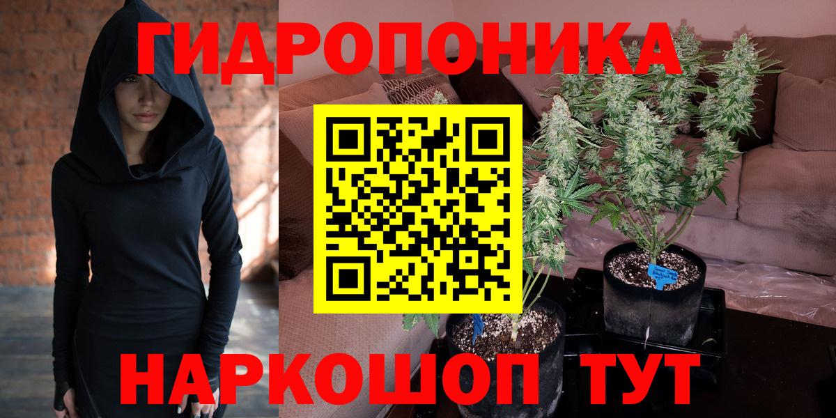 Бошки Шишки THC 21% Лобня